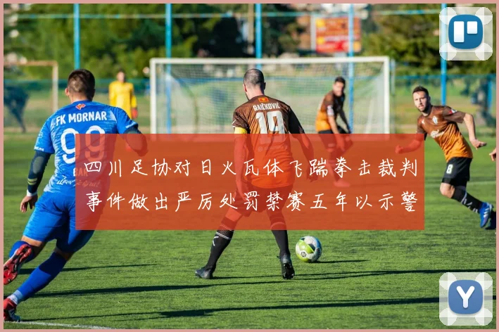 四川足协对日火瓦体飞踹拳击裁判事件做出严厉处罚禁赛五年以示警戒