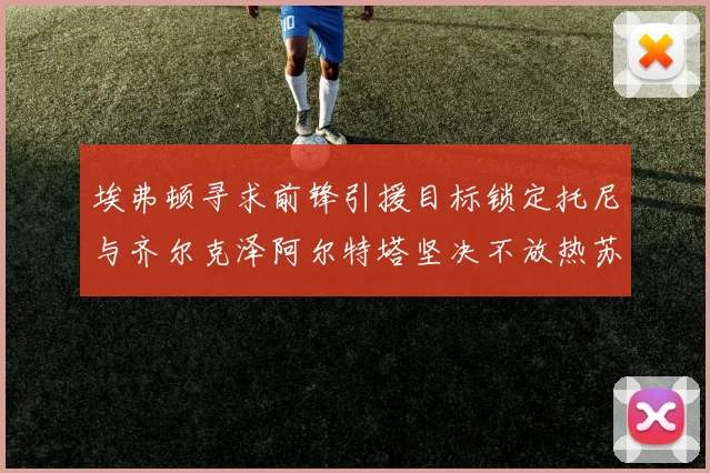 埃弗顿寻求前锋引援目标锁定托尼与齐尔克泽阿尔特塔坚决不放热苏斯