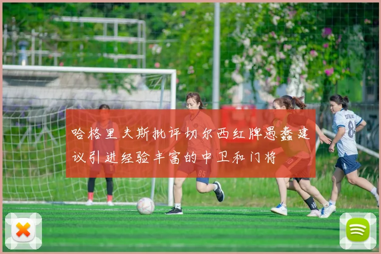 哈格里夫斯批评切尔西红牌愚蠢建议引进经验丰富的中卫和门将