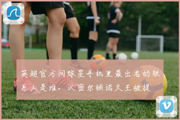 英超官方问球星手机里最出名的联系人是谁，汉密尔顿诺天王被提