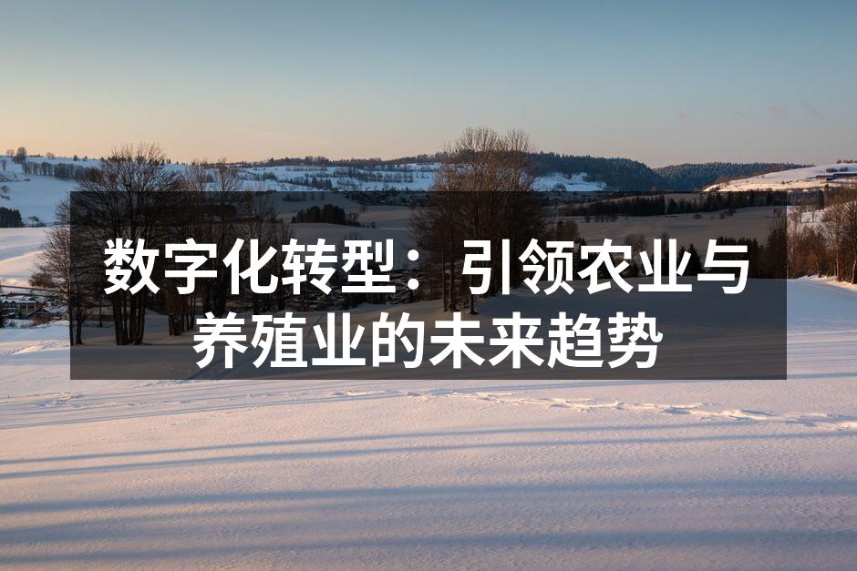 数字化转型：引领农业与养殖业的未来趋势